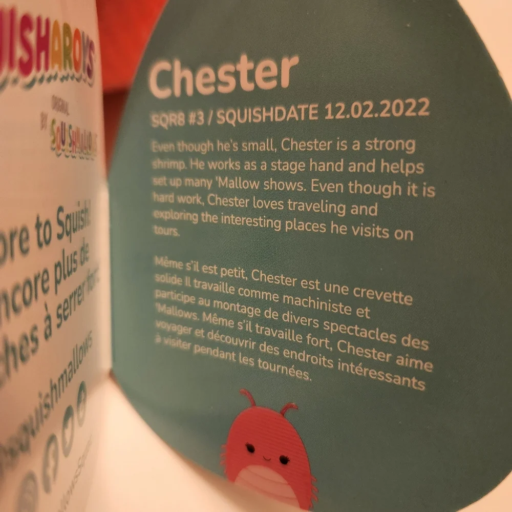 Chester - Picture 5 of 6